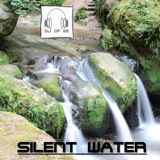 Cover DJ of 69 - Silent Water