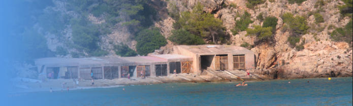 Playa de Cala San Vicente Ibiza