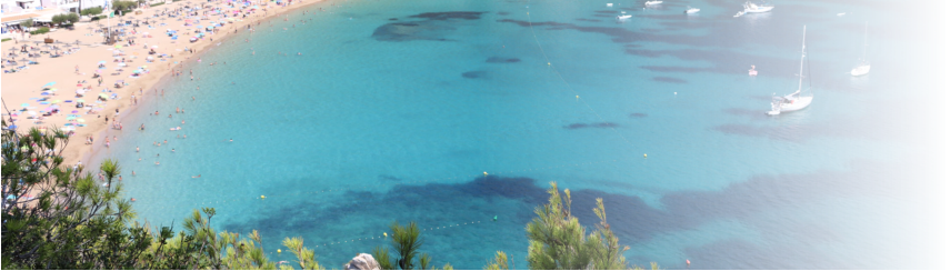 Cala Sant Vicent Ibiza