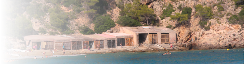 Playa de Cala San Vicente Ibiza