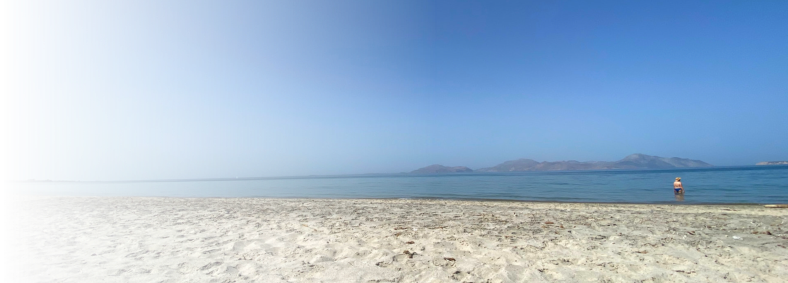 Beach Vibes
